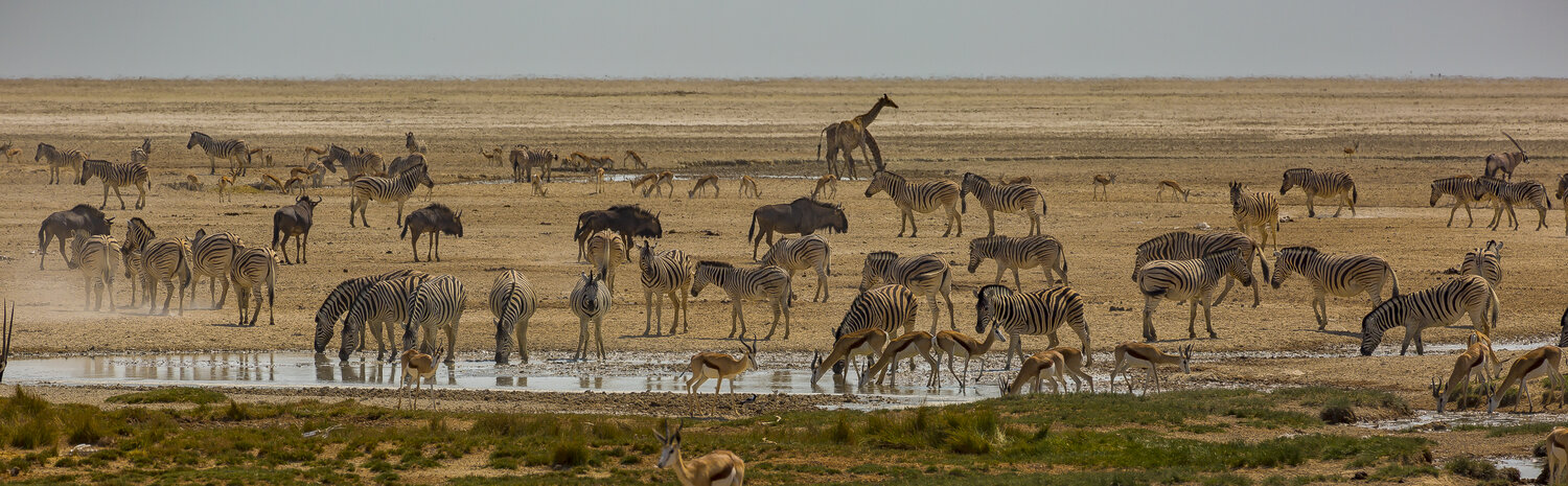 Etosha National Park, Namibia in October