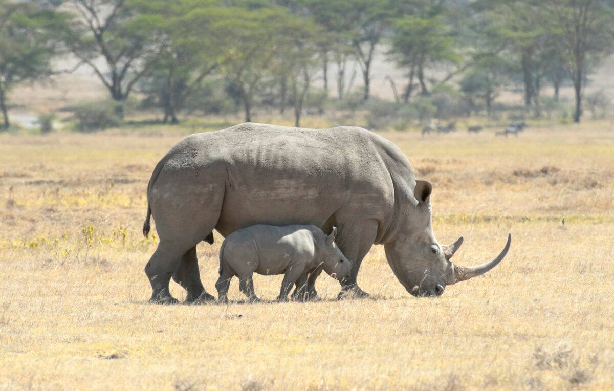 Family travel that matters