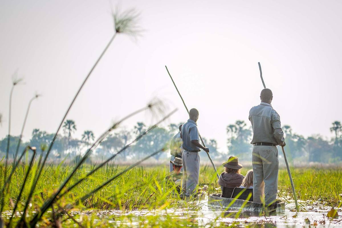 Botswana family safari: which camps and regions work with children