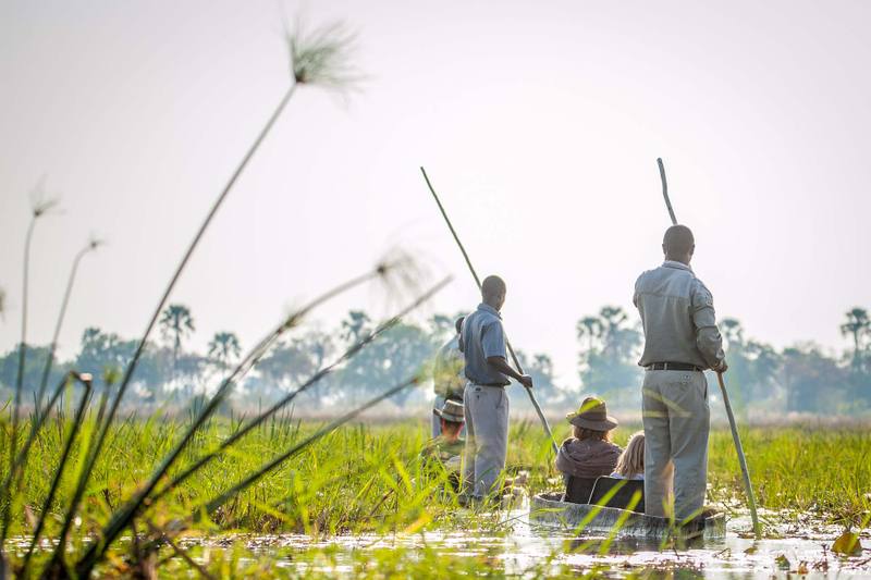 Cover image for Botswana family safari: which camps and regions work with children
