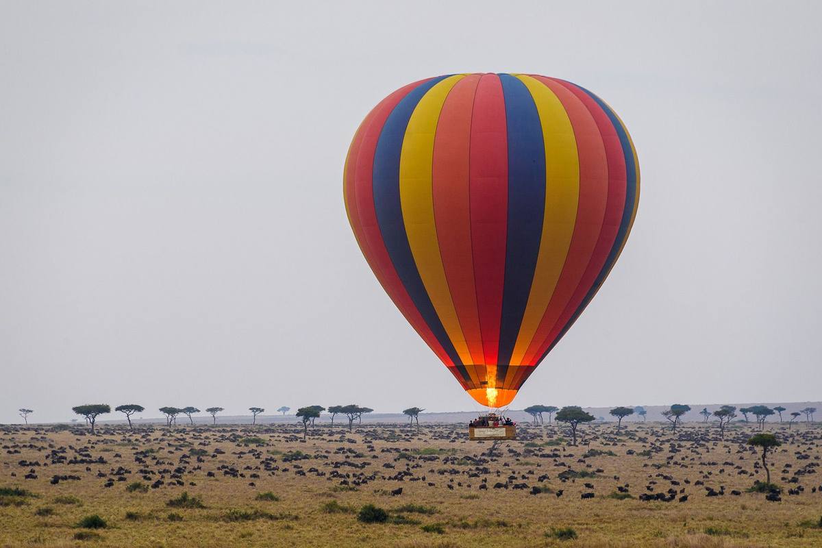 Kenya family safari: the Mara, Laikipia and Diani with kids