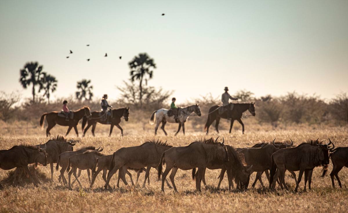 The benefits of taking your family into the wild