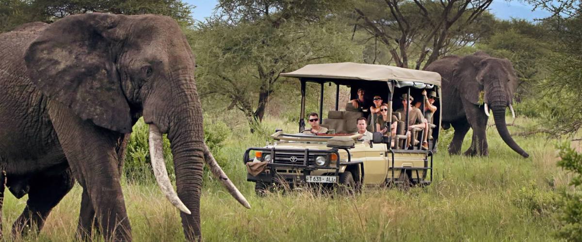 How to plan a family safari in Africa: A step-by-step guide from 16 years on the ground