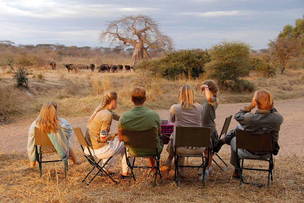 The Best Family Safaris in Africa: An Honest, Age-by-Age Guide
