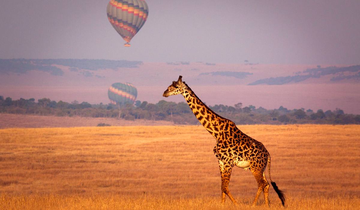 Where to go when: Our top picks in Africa and the Indian Ocean by month